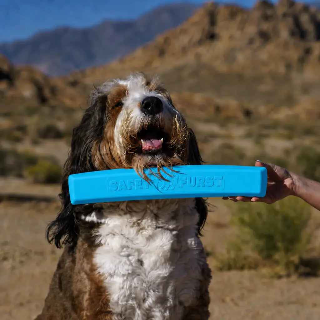 The Whiffie Cushion™ — Patented Car Window Chin Rest For Dogs