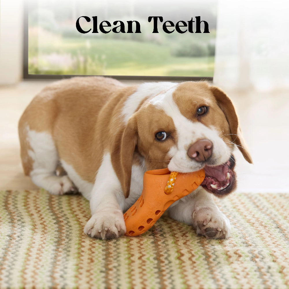 Clog-Shaped Dog Treat Dispensing Toy – Interactive Rubber Chew Toy for Puppies & Small Dogs