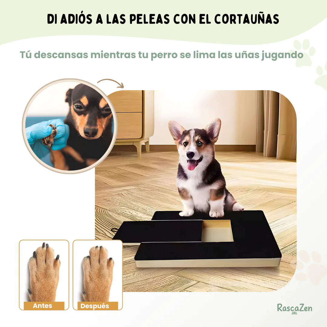 Auraivo Pet Nail File Board - Durable Wooden Scratching Pad with Built-in Snack Box for Large & Small Dogs
