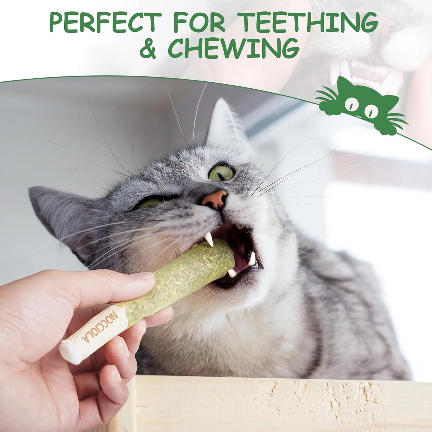 Nocciola Purr-Re-Roll Set: 100% Natural Catnip Filled Kicker Toys