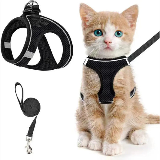 Escape Proof Cat Harness & Leash (≤13 lbs)Adjustable Reflective Soft Mesh Vest for Easy Safe Walks with Leash Included